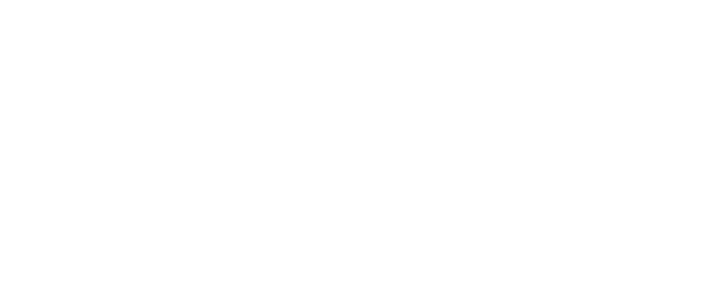 Digital Journal_white