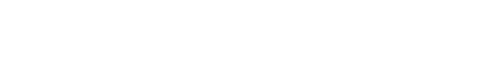 Texas Developer